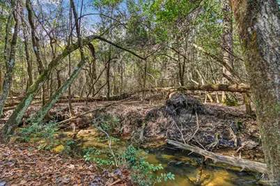 2248 Wallace Lake Rd, Pace, FL 32571 - Photo 49