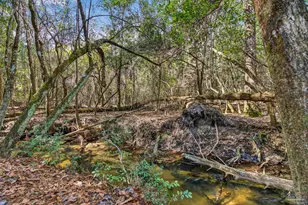 2248 Wallace Lake Rd, Pace, FL 32571 - Photo 49