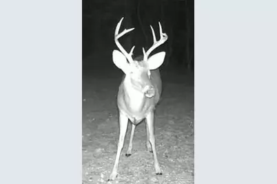 2779 Nelsontown Rd, Jay, FL 32565 - Photo 3