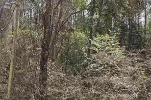 2779 Nelsontown Rd, Jay, FL 32565 - Photo 13