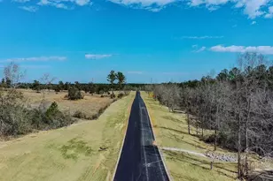 Lot 1 Creek Bluff Dr, Pace, FL 32571 - Photo 1