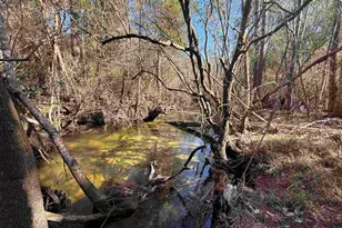 Lot 22 Creek Bluff Dr, Pace, FL 32571 - Photo 1