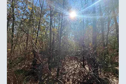 Lot 3 Creek Bluff Dr, Pace, FL 32571 - Photo 3