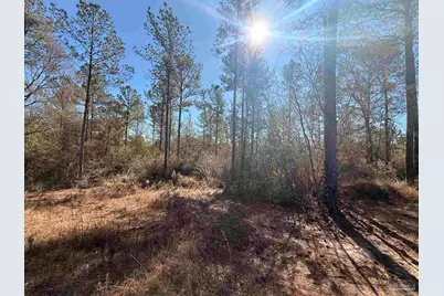 Lot 3 Creek Bluff Dr, Pace, FL 32571 - Photo 1