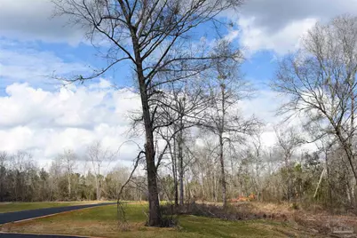 Lot 11 Brook Crossing St, Pace, FL 32571 - Photo 5