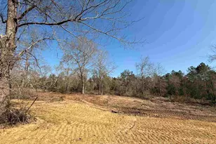 Lot 11 Brook Crossing St, Pace, FL 32571 - Photo 1