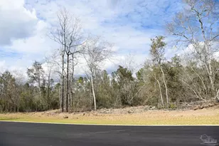 Lot 21 Creek Bluff Dr, Pace, FL 32571 - Photo 1