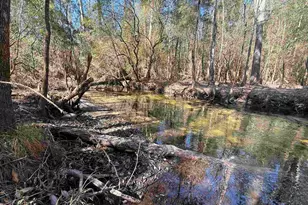 Lot 21 Creek Bluff Dr, Pace, FL 32571 - Photo 1