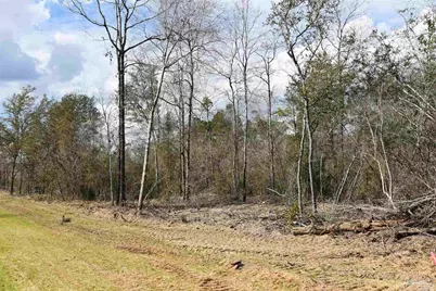 Lot 21 Creek Bluff Dr, Pace, FL 32571 - Photo 3