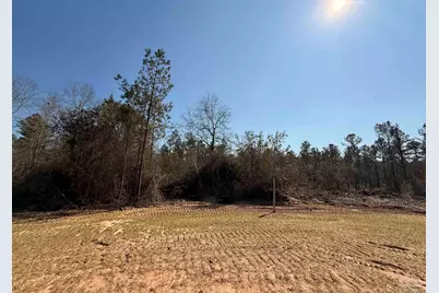Lot 10 Brook Crossing St, Pace, FL 32571 - Photo 3
