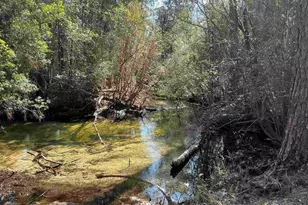 Lot 10 Brook Crossing St, Pace, FL 32571 - Photo 1