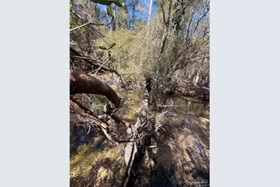Lot 20 Creek Bluff Dr, Pace, FL 32571 - Photo 5