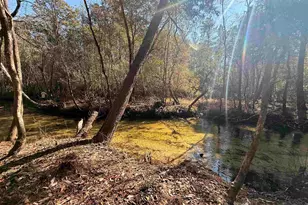 Lot 20 Creek Bluff Dr, Pace, FL 32571 - Photo 1