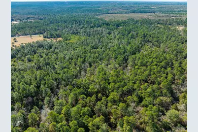 Lot 9 Brook Crossing St, Pace, FL 32571 - Photo 17