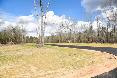 Lot 19 Creek Bluff Dr, Pace, FL 32571 - Photo 3