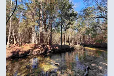 Lot 12 Brook Crossing St, Pace, FL 32571 - Photo 5