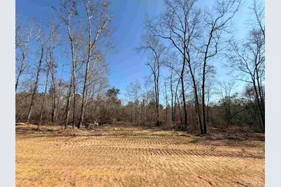 Lot 12 Brook Crossing St, Pace, FL 32571 - Photo 1