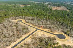 Lot 12 Brook Crossing St, Pace, FL 32571 - Photo 1