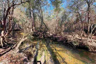 Lot 18 Brook Crossing St, Pace, FL 32571 - Photo 1