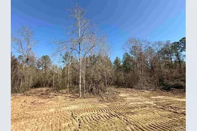 Lot 16 Brook Crossing St, Pace, FL 32571 - Photo 3