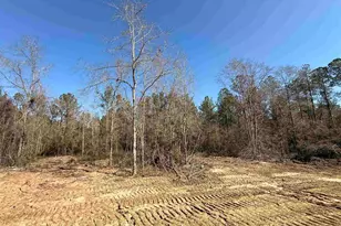 Lot 16 Brook Crossing St, Pace, FL 32571 - Photo 1