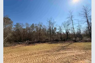 Lot 14 Brook Crossing St, Pace, FL 32571 - Photo 1