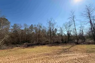 Lot 14 Brook Crossing St, Pace, FL 32571 - Photo 1