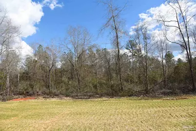 Lot 14 Brook Crossing St, Pace, FL 32571 - Photo 3