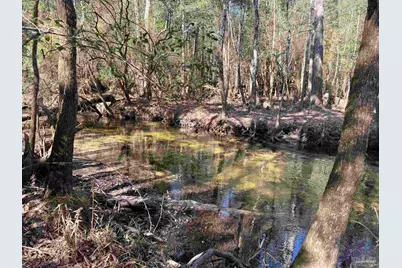 Lot 15 Brook Crossing St, Pace, FL 32571 - Photo 5