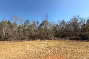 Lot 15 Brook Crossing St, Pace, FL 32571 - Photo 1