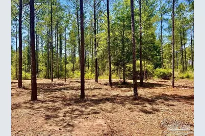 Lot 87 Pine Preserve Ln, Pace, FL 32571 - Photo 11