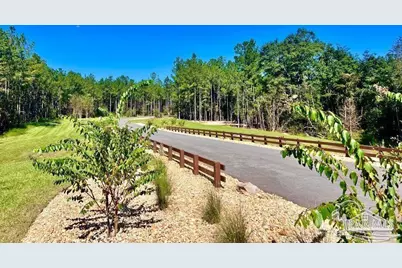 Lot 87 Pine Preserve Ln, Pace, FL 32571 - Photo 3