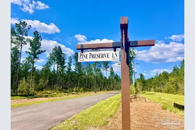 Lot 87 Pine Preserve Ln, Pace, FL 32571 - Photo 5