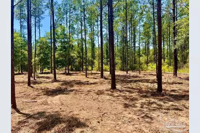 Lot 87 Pine Preserve Ln, Pace, FL 32571 - Photo 9