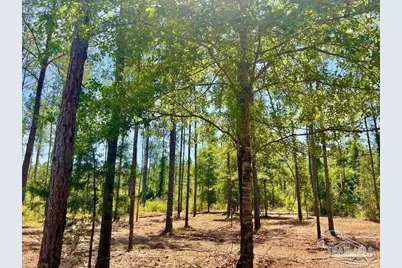 Lot 87 Pine Preserve Ln, Pace, FL 32571 - Photo 11