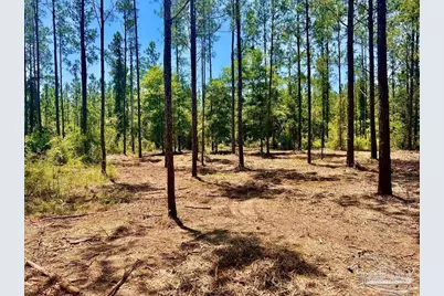 Lot 87 Pine Preserve Ln, Pace, FL 32571 - Photo 13