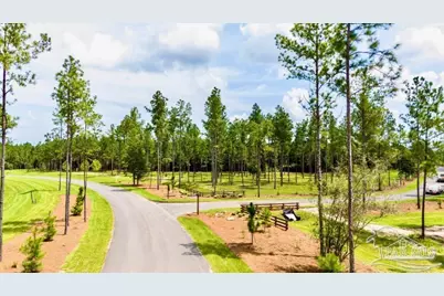 Lot 87 Pine Preserve Ln, Pace, FL 32571 - Photo 3