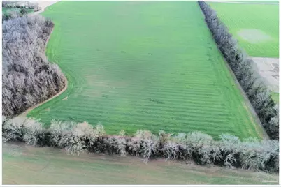 0000 Rocky Rd, Jay, FL 32565 - Photo 3