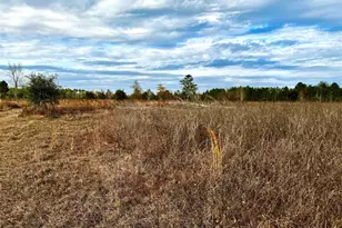 0 Hardaway Hwy, Gretna, FL 32332 - Photo 1