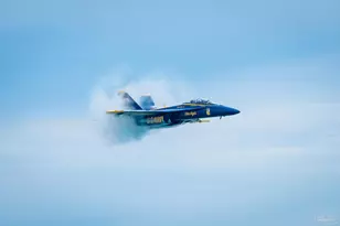 100 Fort Pickens Rd, Pensacola Beach, FL 32561 - Photo 39