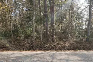 Pearson Rd, Milton, FL 32570 - Photo 1