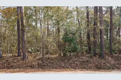 Pearson Rd, Milton, FL 32570 - Photo 1