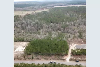 Lot 19 Mineral Springs Rd, Jay, FL 32565 - Photo 3