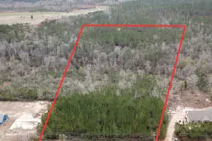 Lot 19 Mineral Springs Rd, Jay, FL 32565 - Photo 1