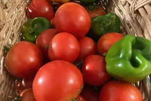 11511 Thousand Oaks Ct, Pensacola, FL 32514 - Photo 61