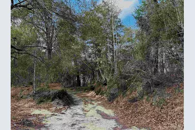 450 N Century Blvd, McDavid, FL 32568 - Photo 5