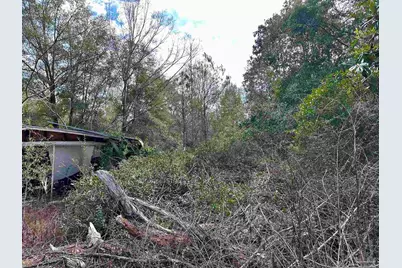 450 N Century Blvd, McDavid, FL 32568 - Photo 15