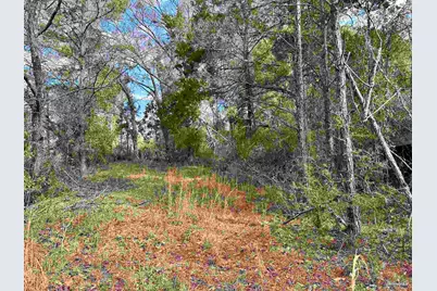 450 N Century Blvd, McDavid, FL 32568 - Photo 17