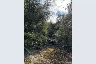 450 N Century Blvd, McDavid, FL 32568 - Photo 19