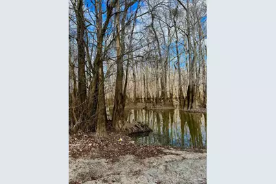 450 N Century Blvd, McDavid, FL 32568 - Photo 7